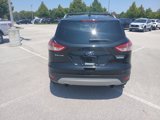 Used 2013 Ford Escape Titanium image 5