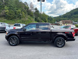 Used 2019 Ford F150 XLT w/ Equipment Group 302A Luxury image 2