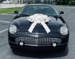 Used 2002 Ford Thunderbird image 2