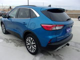 Used 2020 Ford Escape Titanium image 5