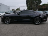 Used 2023 Ford Mustang Coupe image 2