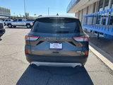 Used 2020 Ford Escape SE image 4