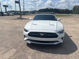 Used 2019 Ford Mustang Premium w/ Pony Package image 2