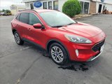 Certified 2020 Ford Escape SEL image 3