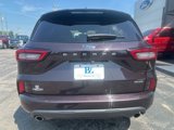Used 2023 Ford Escape ST-Line w/ Tech Pack #1 image 5
