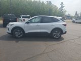 New 2025 Ford Escape ST-Line w/ Tech Pack #1 image 4