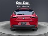 Used 2020 Lexus UX 250h w/ Premium Package image 4