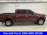 Used 2016 Ford F150 XLT w/ Equipment Group 302A Luxury image 6