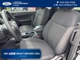 Used 2019 Ford Ranger XL w/ Equipment Group 101A Mid image 2