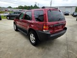Used 2003 Ford Escape XLT image 5