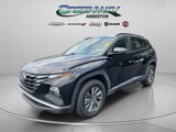 Used 2023 Hyundai Tucson Blue image 3