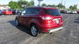 Used 2014 Ford Escape Titanium image 5