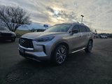Certified 2023 INFINITI QX60 Sensory w/ Cargo Package image 3