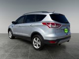 Used 2014 Ford Escape SE w/ Equipment Group 201A image 4