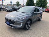 Certified 2022 Ford Escape SEL image 4