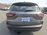 New 2025 Ford Escape ST-Line Elite w/ Tech Pack #1 image 5