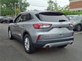 Used 2022 Ford Escape SE image 4