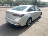 Used 2019 Hyundai Sonata SEL w/ Cargo Package image 4