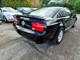 Used 2009 Ford Mustang Coupe image 5