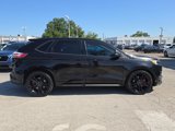 Used 2019 Ford Edge ST w/ Equipment Group 401A image 4