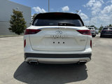 Used 2019 INFINITI QX50 Luxe w/ Cargo Package image 6