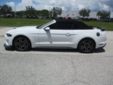 Used 2018 Ford Mustang Premium image 4