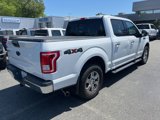 Used 2017 Ford F150 XLT w/ Equipment Group 302A Luxury image 3