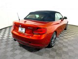 Used 2019 BMW 230i xDrive Convertible w/ Convenience Package image 6