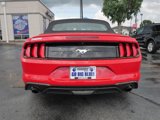 Used 2019 Ford Mustang Premium image 6