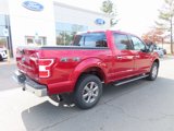 Used 2019 Ford F150 XLT w/ Equipment Group 302A Luxury image 5