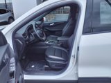 New 2025 Ford Escape ST-Line image 6