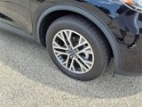Used 2021 Ford Escape SEL image 4