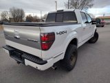 Used 2013 Ford F150 Platinum image 5