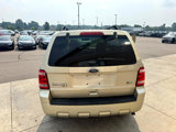 Used 2012 Ford Escape XLT image 6