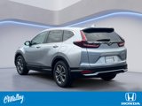 Certified 2022 Honda CR-V EX-L image 3
