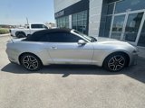 Used 2021 Ford Mustang Premium image 3