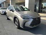 Certified 2022 Lexus NX 250 FWD w/ Premium Package image 4