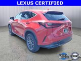 Certified 2025 Lexus NX 250 FWD image 4