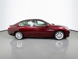 Used 2014 Honda Accord Touring image 3