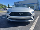 Used 2019 Ford Mustang Coupe image 3