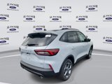 New 2025 Ford Escape ST-Line w/ Equipment Group 301A image 5