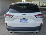 Used 2022 Ford Escape SE image 4