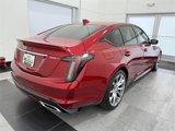 Used 2022 Cadillac CT5 Sport w/ Climate Package image 2