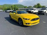 Used 2015 Ford Mustang Convertible w/ Equipment Group 051A image 3