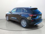 New 2025 Ford Escape Active w/ Cold Weather Package image 6