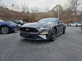 Used 2019 Ford Mustang Premium image 3