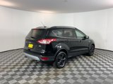 Used 2016 Ford Escape SE w/ Equipment Group 201A image 5