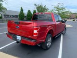 Used 2020 Ford F150 XLT w/ Equipment Group 302A Luxury image 5