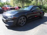 Used 2022 Ford Mustang Premium image 6