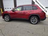 Used 2019 Toyota RAV4 Limited image 4